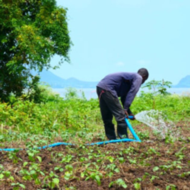 project-wetu-weagriculture