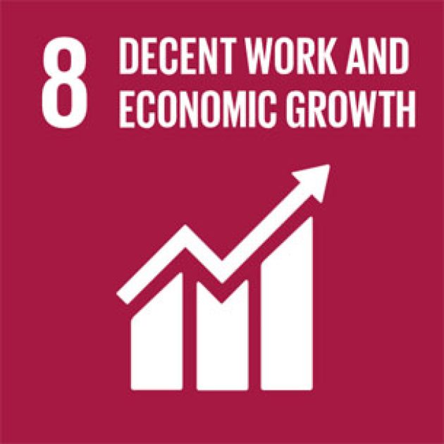 stiftung-entwicklungskooperation-emobilitaet-SDG8-EN Sustainable Development Goal 8 – Decent work and economic growth