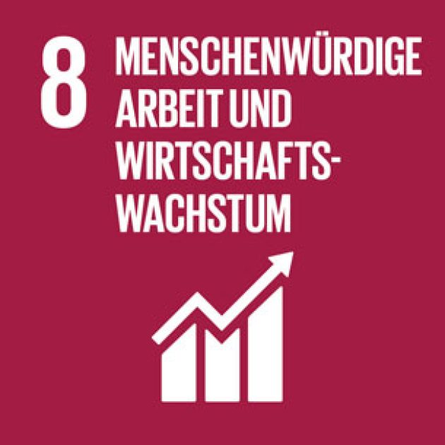 stiftung-entwicklungskooperation-emobilitaet-SDG8 Sustainable Development Goal 8 – Menschenwürdige Arbeit und Wirtschaftswachstum